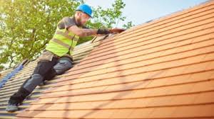 Best Roof Maintenance and Cleaning  in Lake City, AR