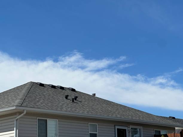 Best Skylight Installation and Repair  in Lake City, AR
